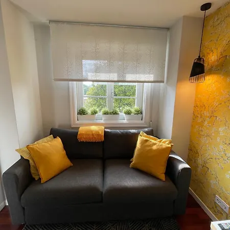 Yellow Daire *